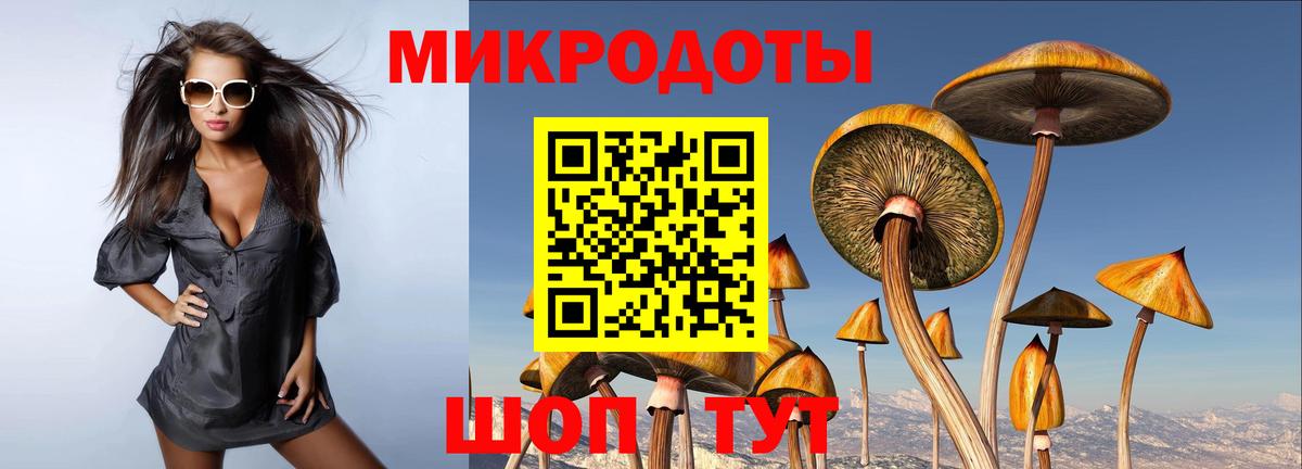 Галлюциногенные грибы Cubensis  Вход с VPN  Заволжье 